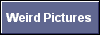  Weird Pictures 