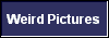  Weird Pictures 